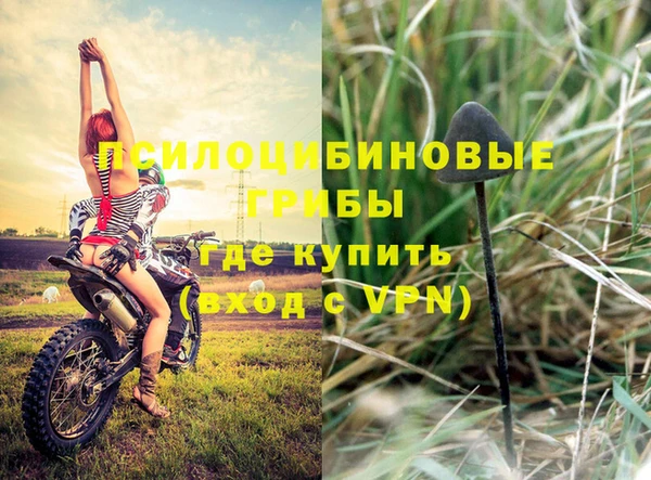 mdpv Пестово