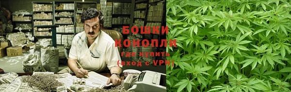 прущие грибы Пересвет