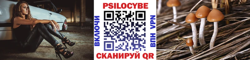 Псилоцибиновые грибы Cubensis  Алатырь 