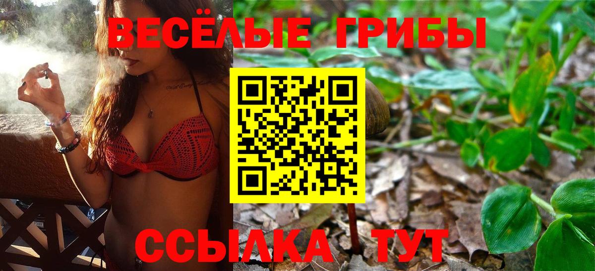 Галлюциногенные грибы Psilocybine cubensis  Вход с VPN  Алатырь 